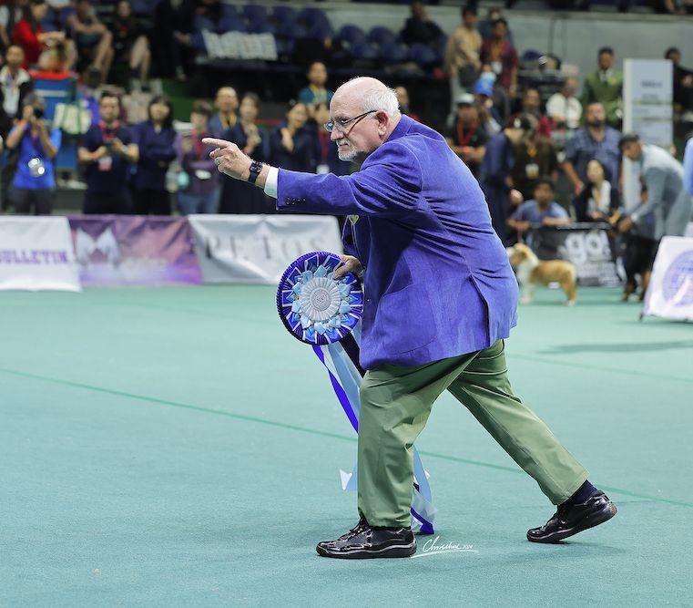 In the Heart of Manila